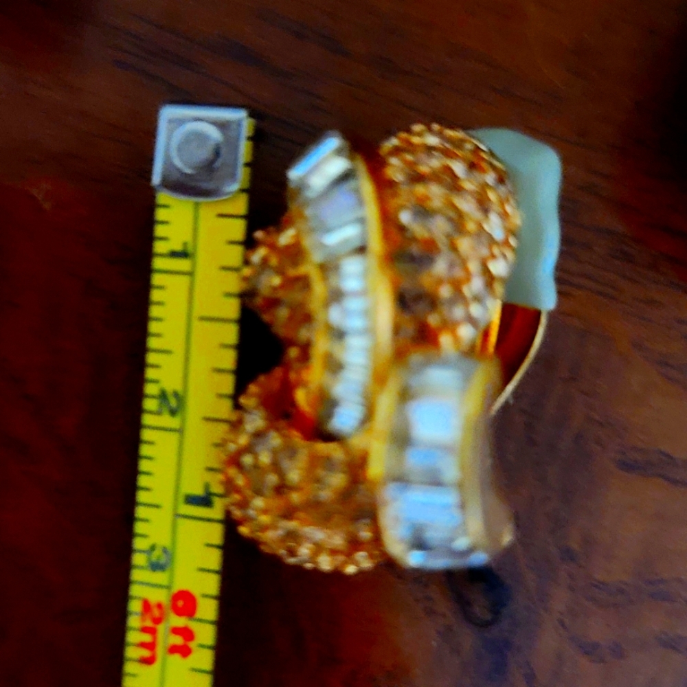 Ciners earings